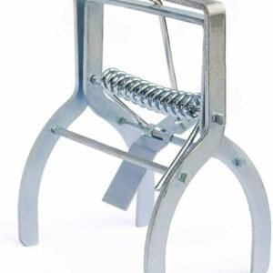 Best Types Of Mole Traps In The Market